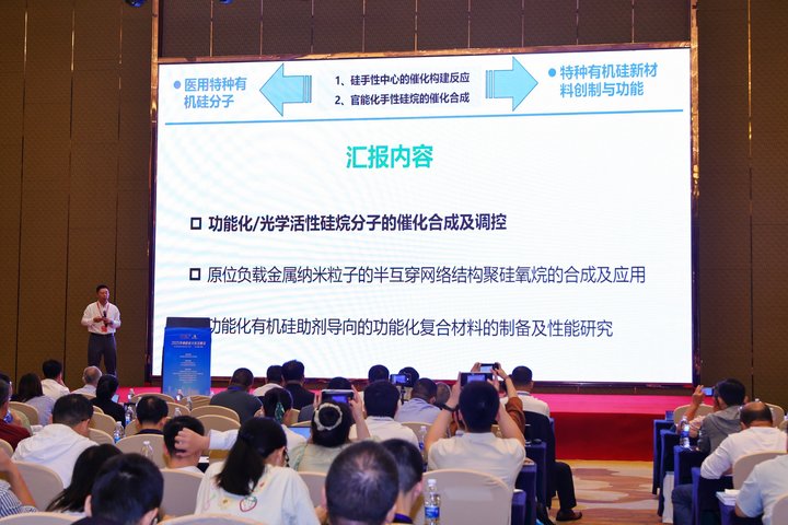 2025华南硅业大会及展示