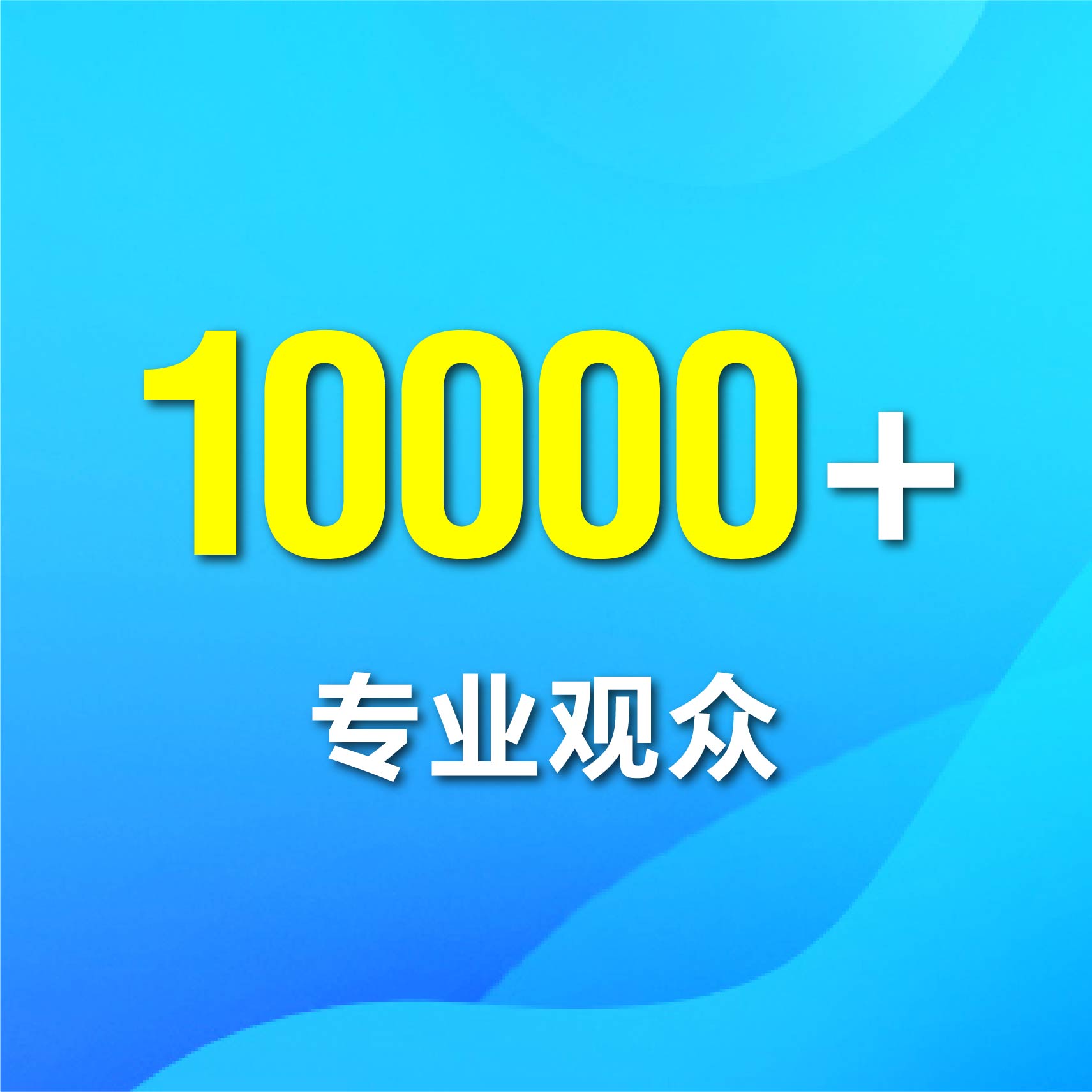 专业观众